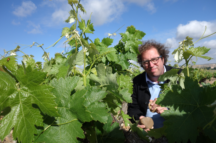 Bertrand  Sourdais: «Esperamos cantidad y calidad en la uva»