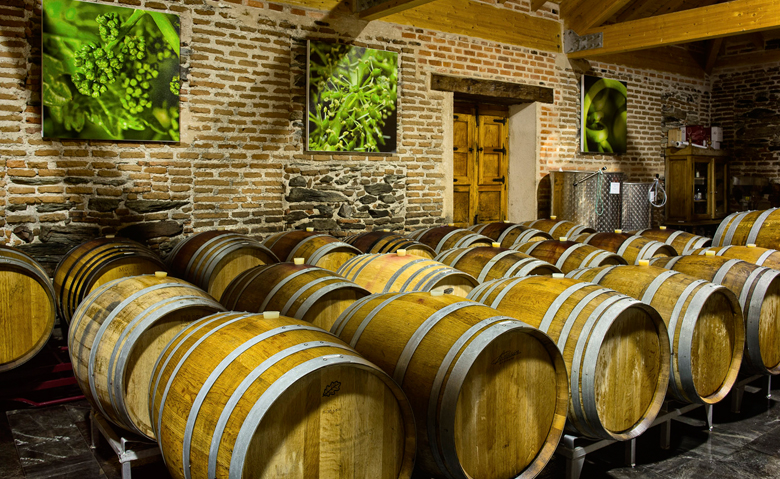 Mibrobio Wines Bodega vinos naturales