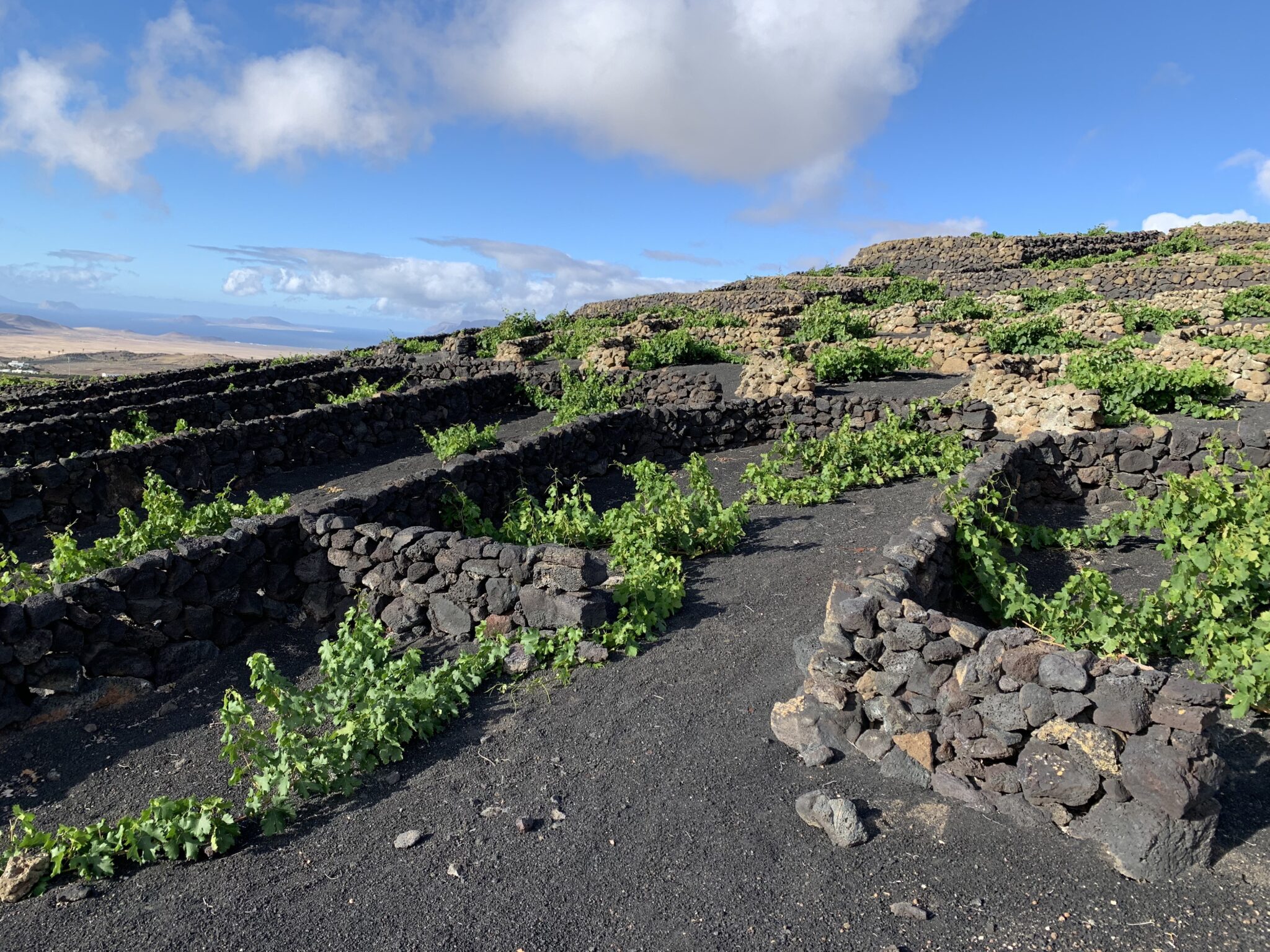 la-mareta-autenticidad-y-singularidad-en-lanzarote-vin-filos