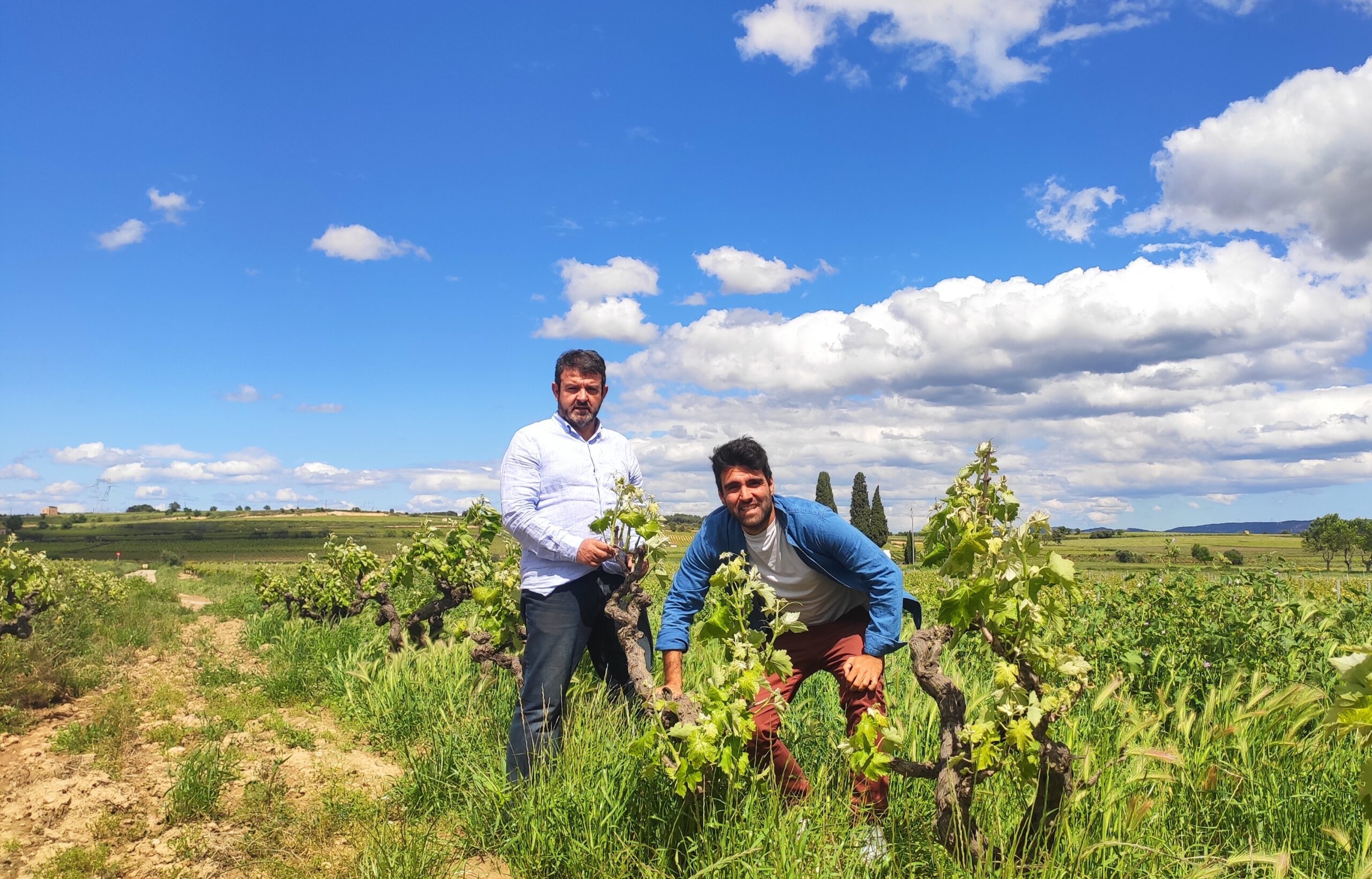 Bodega Mas Gomà: Volver al Pasado para Construir el Futuro