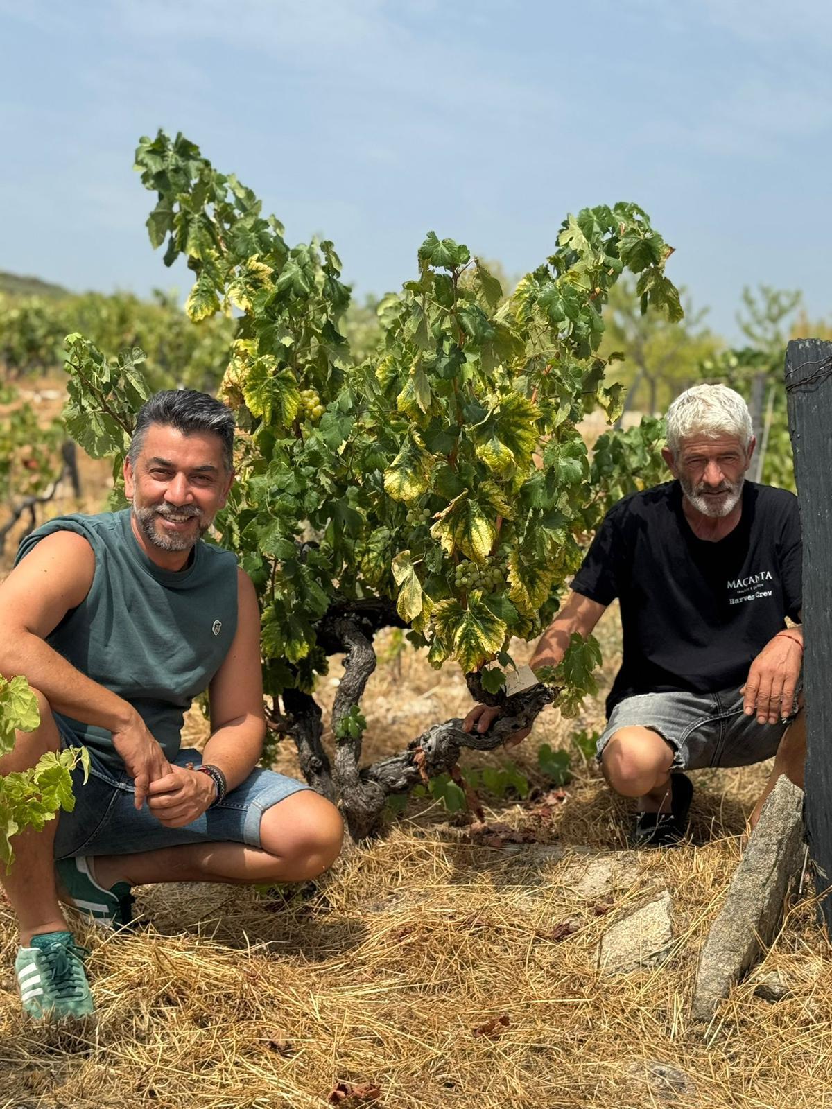 Maçanita: Vocación, territorio y autenticidad en el Douro