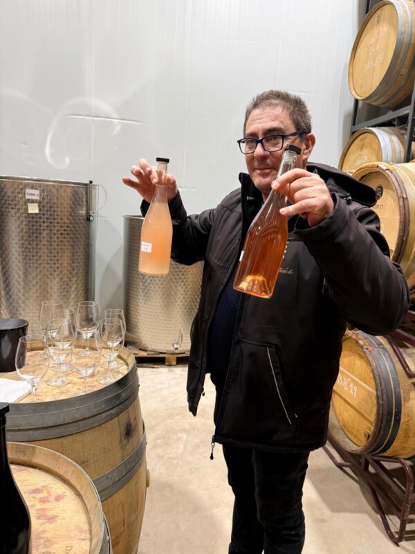 Señal de viñedo en Soria