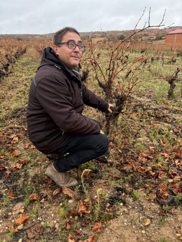 Mario Reyes en viña vieja de Dominio de Es (Soria)