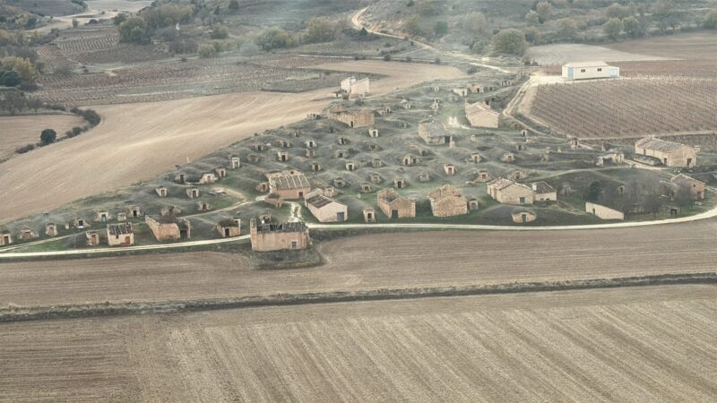 Paisaje de viñedo en Soria (Ribera del Duero)