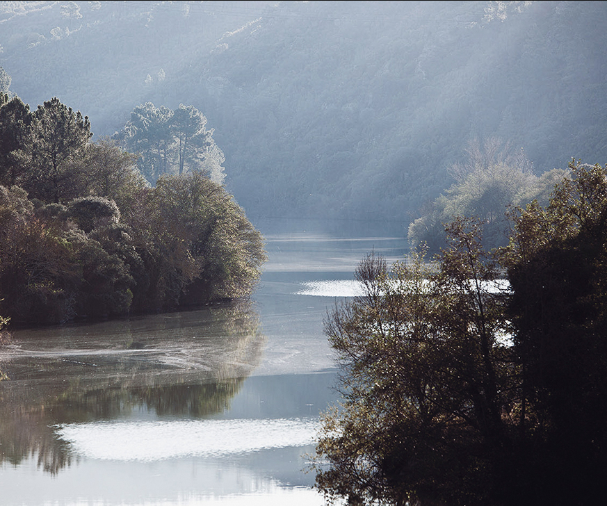 Valdesil, Valdeorras y el Godello como corazón