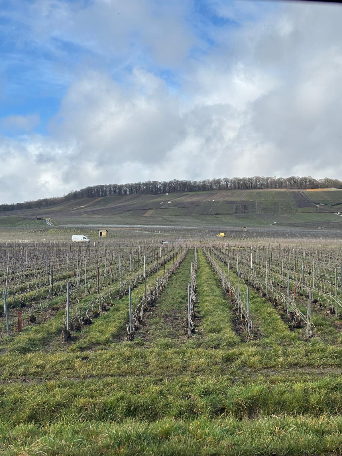 Champagne francés: mucho más que una bebida